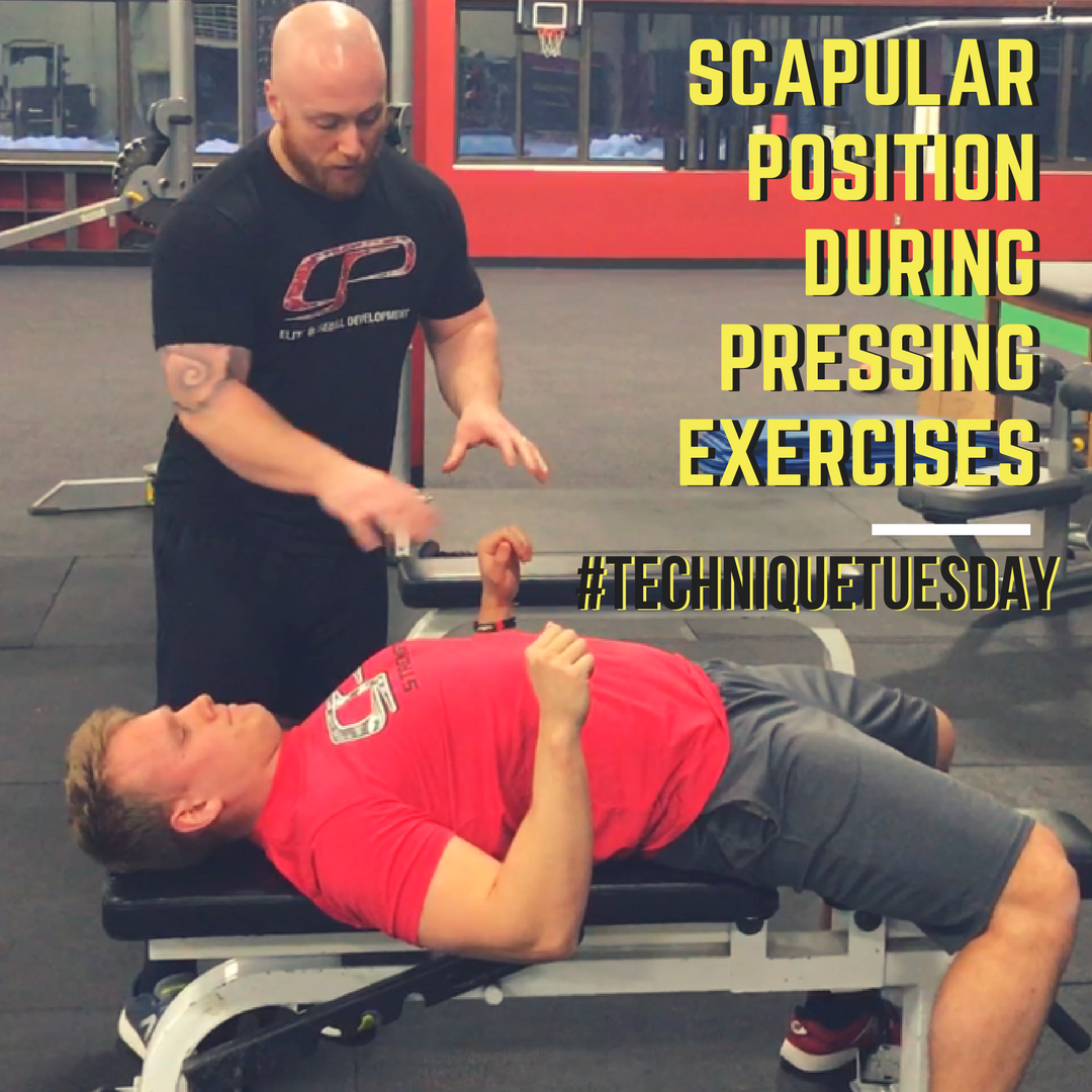 Technique Tuesday: Scapular Position During Pressing Exercises - TONY ...